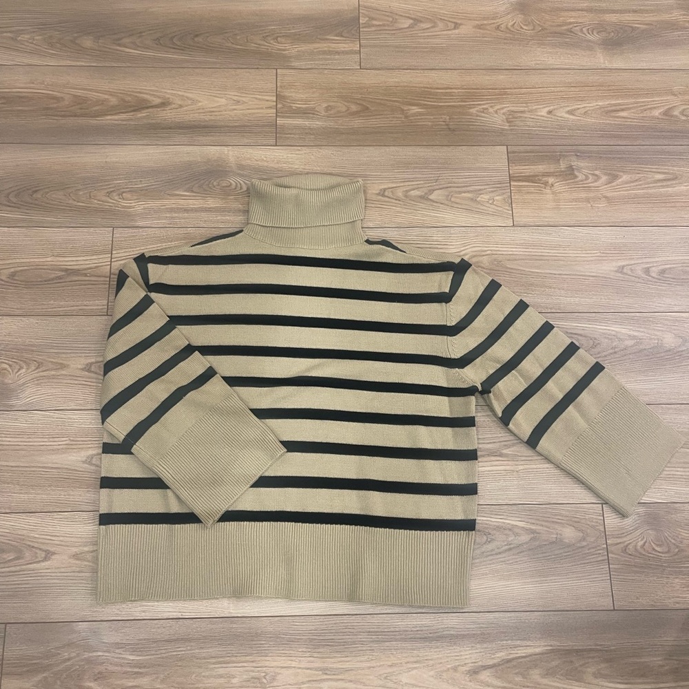 WeWoreWhat Oversized Stripped Turtle Neck Sweater